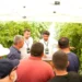 Bayer Tarım Ürünleri, Manisa'da Bağ Agro Arena Düzenledi 5 Bayer Tarım Ürünleri, Manisa'da Bağ Agro Arena Düzenledi - Tarım Pusulası