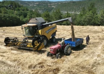 Bursa Büyükşehir'den çiftçiye tam destek - Agro TV