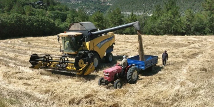 Bursa Büyükşehir'den çiftçiye tam destek - Agro TV