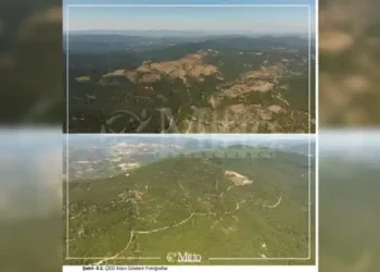 Balıkesir Havran’daki altın madeni kapasite artışına ‘ÇED Olumlu’ kararı: 10 bin 711 ağaç kesilecek