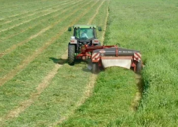 ÇKS'ye kayıtlı arazi ve çiftçi bilgileri askıya çıktı! Üreticilere kayıt kontrolü uyarısı - Tarımdan Haber