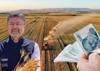 237 Milyon Liralık Destekleme Ödemesi Hesaplara Aktarılıyor