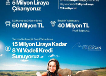 Cumhurbaşkanı Erdoğan’dan çiftçiye 4 müjde geldi