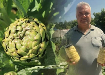 İzmir’de üretilip Ankara’ya gönderildi: Yılda sadece 8 milyon üretiliyor! Liderlerin mest olduğu sofrada yerini aldı