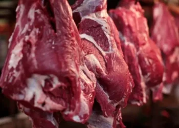 FAO: Haziranda Et Fiyat Endeksi Rekor Seviyeye Ulaştı - Tarım Pusulası