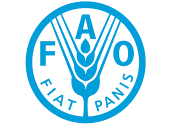 FAO’dan, Küresel Gıda Güvenliği Standartlarının Daha Güçlü Bir Şekilde Uygulanması Çağrısı - HASAT TÜRK - Hasat Türk
