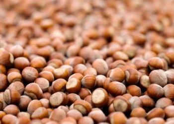 Ferrero, sürdürülebilir tarım yatırımlarındaki ilerlemeyi açıkladı - Tarım Pusulası
