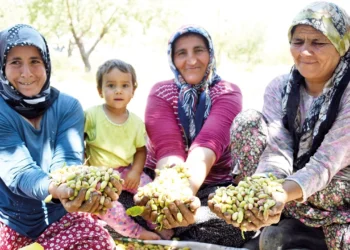 Yeşil altını ithalat vurdu
