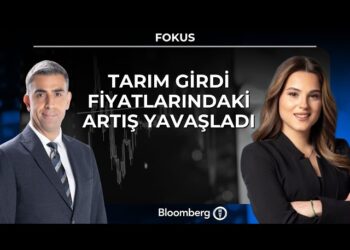 Tarım girdi fiyatlarındaki artış yavaşladı – Fokus
