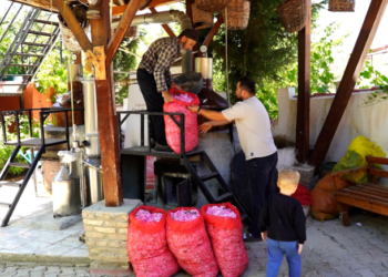 50 kilo üründen 2 saatte çıkan mucize: Almanlar kapış kapış alıyor!
