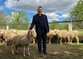 “Hayvan Sevklerine İlişkin Caydırıcı Para Cezaları Getirildi” - HASAT TÜRK - Hasat Türk