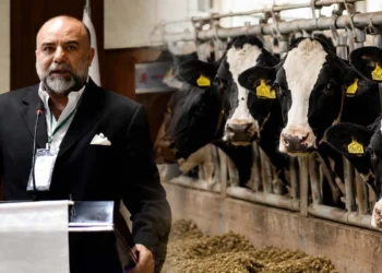 Kan örneği alınmadan mı arilik belgesi iptal edildi? TÜSEDAD'dan çarpıcı açıklama - Tarımdan Haber