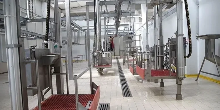 Kesimhanelerde kamera zorunluluğu 2027'de başlayacak 1 kesimhane