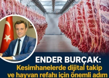 Kesimhanelerde dönüm noktası: Dijital takip ve hayvan refahı zorunluluğu Resmi Gazete’de! 6 Kesimhanelerde dönüm noktası: Dijital takip ve hayvan refahı zorunluluğu Resmi Gazete’de! - Tarımdan Haber