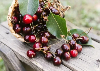 İhracatlık kirazda yeni sezon fiyatı 60 TL olarak belirlendi