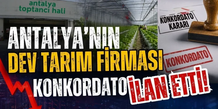 konkordato