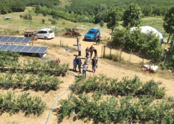 Kurak arazi devlet desteğiyle bereketli topraklara dönüştü - Agro TV