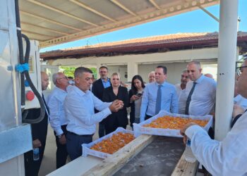 Kuru Meyve Sektör Kurulu Malatya’da üst düzey temaslarda bulundu