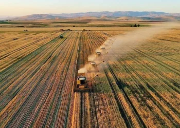 Milyarlarca lira cirosu olan Türk tarım devinden konkordato talebi - Gazete Oksijen