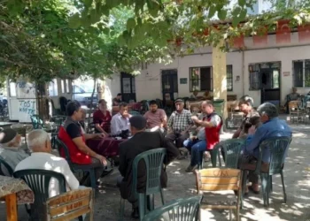 Muğla İl Tarım Müdürlüğü tarla faresiyle mücadele başlattı - Tarım Pusulası