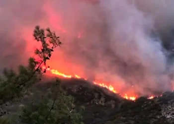Antalya Kaş’ta orman yangını: Havadan ve karadan müdahale ediliyor