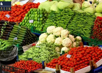 Avrupa’nın yemediği biberi biliyoruz, pazardakini neden bilmiyoruz?