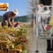 Ergin Kahveci: Zincir marketler büyüyor, peki çiftçi neden kazanamıyor? 9 rgin Kahveci: Zincir marketler büyüyor, peki çiftçi neden kazanamıyor? - Tarımdan Haber