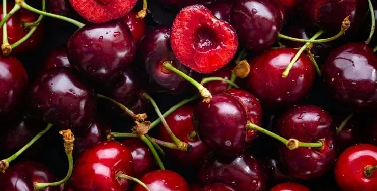 Rusya, Türkiye'deki beş ihracatçıdan çekirdekli meyve alımını kısıtladı - Diken - Diken
