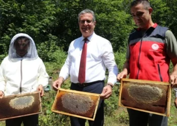 Samsun'da Coğrafi İşaretli Salıpazarı Kestane Balı Hasadı Başladı - Tarım Pusulası