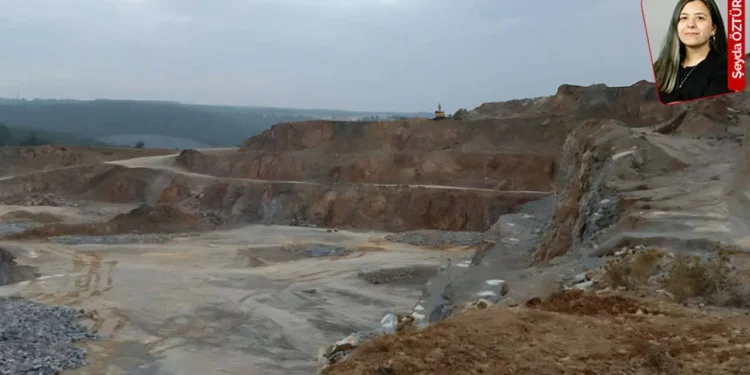 seyda
