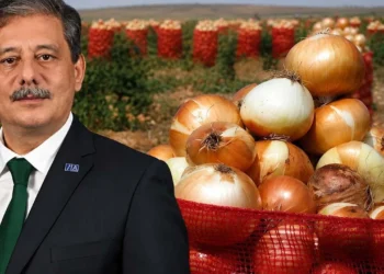 Demiröz: “Yurt dışından 25 liraya soğan almak yerine çiftçiden 35 liraya alın”
