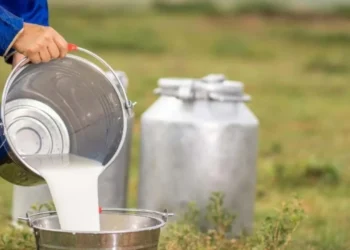 Süt fiyatı neden artırılmadı? USK'nın kararı üretici için ne anlama geliyor? - Tarımdan Haber