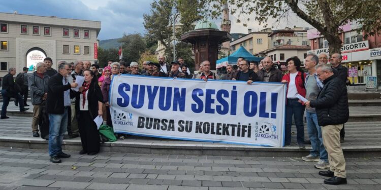 suyun sesi ol