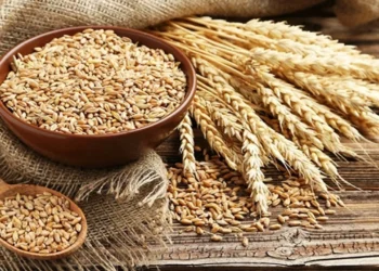 Tahıl piyasasında yeni fırtına