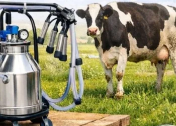 Tarım Bakanlığı'ndan yüzde 75 hibeli süt sağım makinesi desteği! Başvurular başladı - Tarımdan Haber
