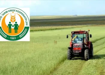 Tarım Kredi'de yine çiftçinin kasasına gidildi! Yağ şirketine 3,5 milyarlık sermaye aktarıldı - Tarımdan Haber