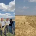 Tarım Kredi'den alınan sertifikalı arpa tohumu çiftçiyi mağdur etti! 25 üretici hukuki süreç başlattı - Tarımdan Haber