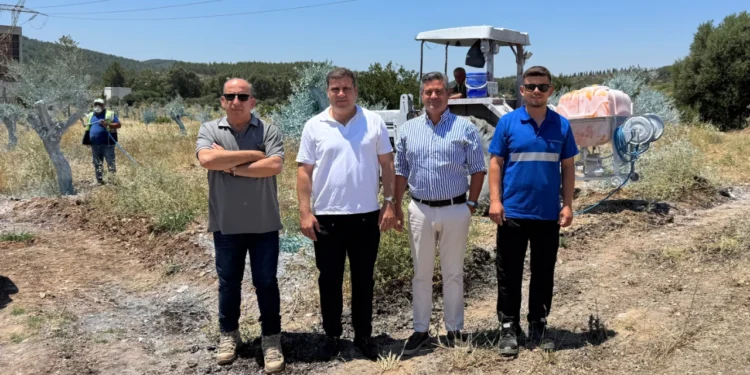 Taşınan zeytin ağaçları bilimsel bakımla yaşatılıyor - Ekonomim