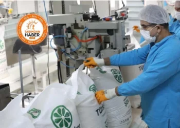 Türkşeker'den şeker almak neden daha pahalı hale geldi? İşte küçük toptancıyı oyunun dışına iten fiyat sistemi - Tarımdan Haber