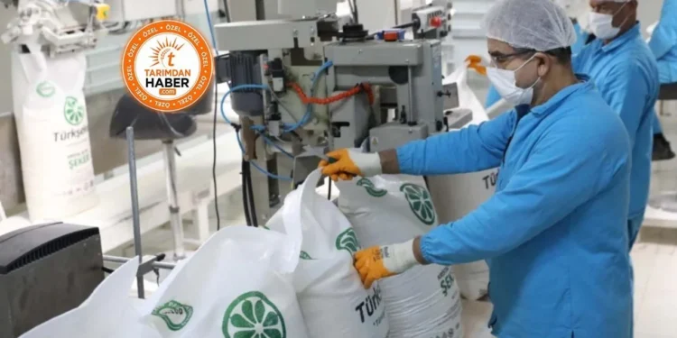 Türkşeker'den şeker almak neden daha pahalı hale geldi? İşte küçük toptancıyı oyunun dışına iten fiyat sistemi - Tarımdan Haber