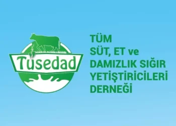 TÜSEDAD'dan ari çiftlik açıklaması: Doğrudan iptal haksız - Agro TV