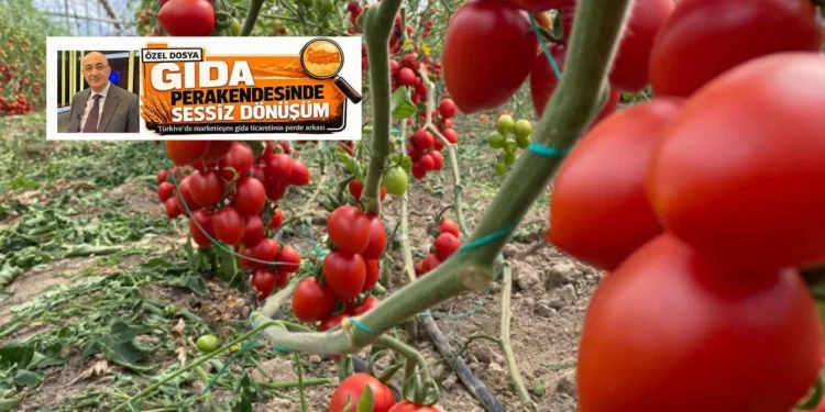 USDA raporu sonrası kritik soru: Bugün marketler, yarın tarlalar mı? - Tarımdan Haber