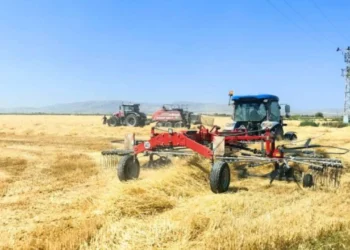 USK'nın hesabında saman sürprizi: Fiyat bir ayda yüzde 32 geriledi - Tarımdan Haber