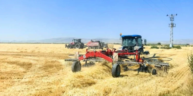 USK'nın hesabında saman sürprizi: Fiyat bir ayda yüzde 32 geriledi - Tarımdan Haber