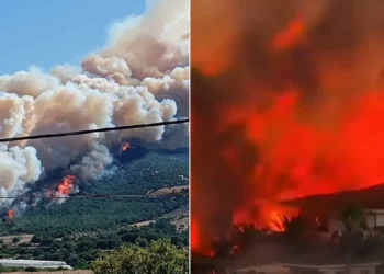 Türkiye’nin ciğerleri yanıyor… Birçok şehirde orman yangını: Hastane ve evler tahliye edildi, yollar kapatıldı! Bakan Yumaklı’dan açıklama