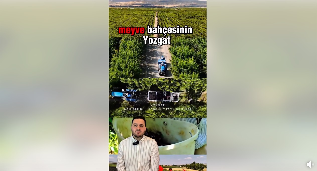 https://www.facebook.com/watch/?v=745459871261033