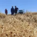 Yozgat'ta 225 bin dekarlık dev hasat başladı: Rekor rekolte... - Cumhuriyet