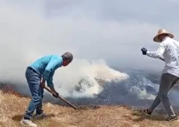 Yüksekova'da Tarım Arazisinde Yangın: Bin Balya Ot Kül Oldu - Agro TV