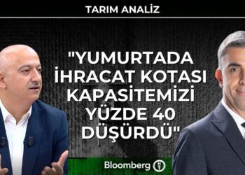 Tarım Analiz – “Yumurtada ihracat kotası kapasitemizi yüzde 40 düşürdü”