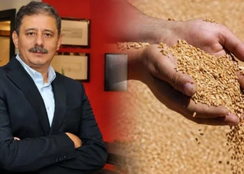 Buğdaydan mısıra, fındıktan üzüme üretici diken üstünde! Anahtar Parti’den hükümete dikkat çeken çağrı